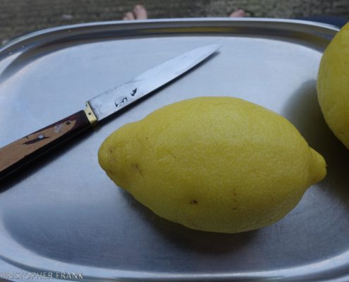 Zitronen auf einem Teller