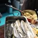 Gegrillte Forellen in Aufbewahrungsschale beim Gourmetfestival Hochpustertal 2018