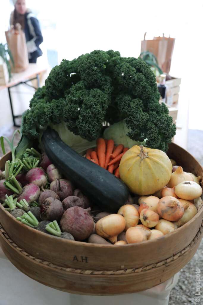 Eine große Holzschüssel gefüllt mit verschiedenen Gemüsesorten, darunter Grünkohl, Karotten, Zucchini, Zwiebeln, Rüben, Steckrüben und ein kleiner Kürbis.