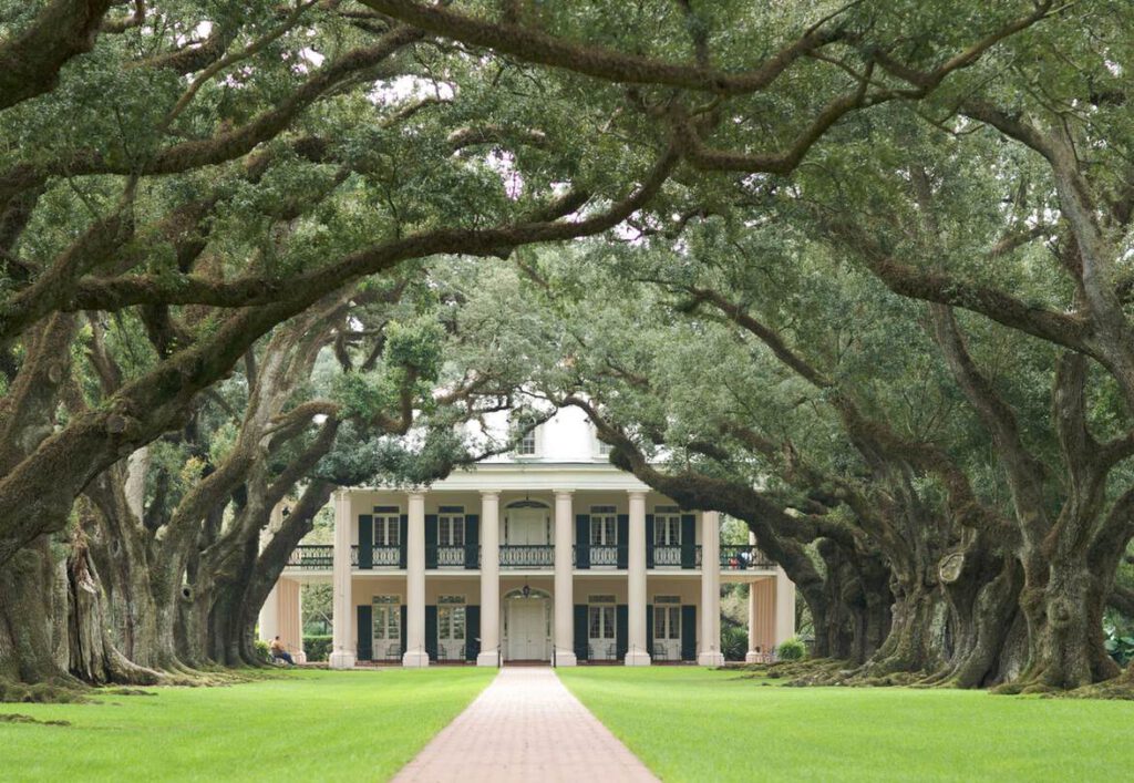 Ein großes Herrenhaus mit symmetrischer Fassade am Ende eines Weges. Hohe Bäume wölben sich auf beiden Seiten über den Weg und erzeugen einen Tunneleffekt.