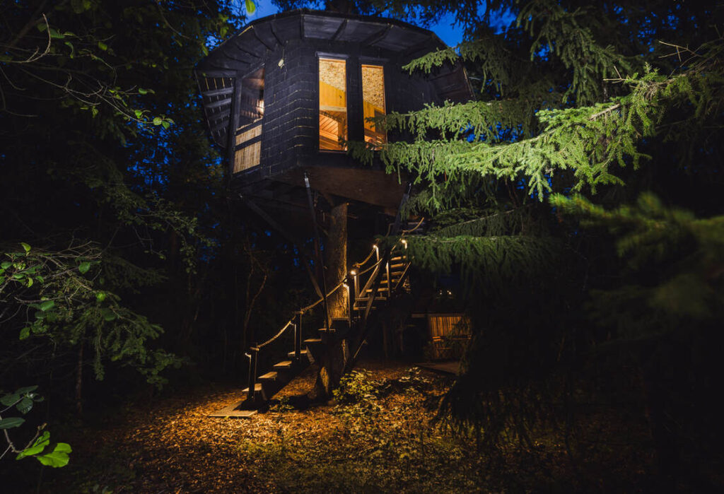 Ein Baumhaus mit beleuchteten Fenstern und Treppen schmiegt sich nachts zwischen die Bäume, umgeben von Laub und warmen Lichtern, die die Stufen umranden.