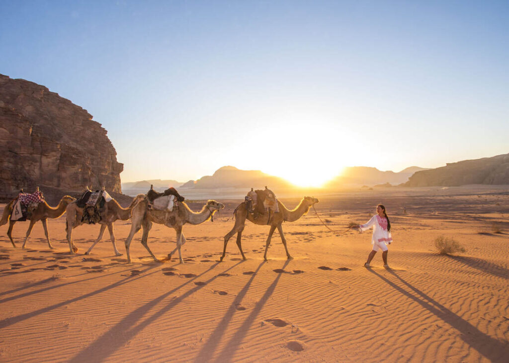 Eine Person führt vier Kamele durch eine sandige Wüstenlandschaft bei Sonnenaufgang oder Sonnenuntergang, mit felsigen Bergen im Hintergrund.