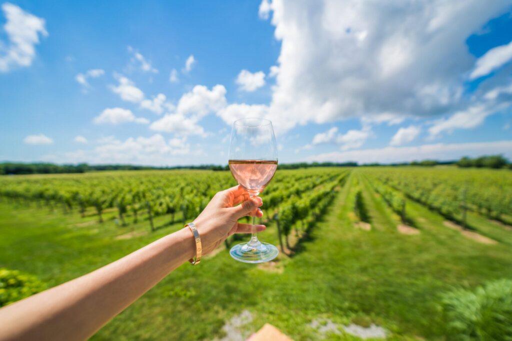 Eine Hand hält ein Glas Roséwein vor einem Weinberg unter einem blauen Himmel mit weißen Wolken.