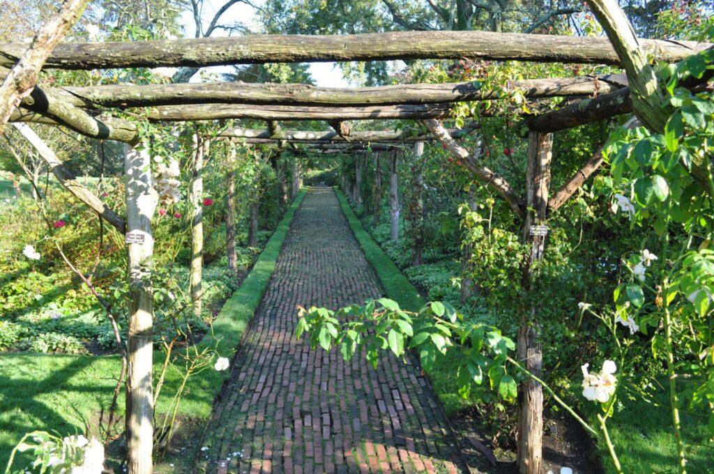 Ein gemauerter Weg führt unter einer hölzernen Pergola hindurch, die mit grünen Weinreben und Blumen bedeckt ist, mit Gras und Bäumen auf beiden Seiten.