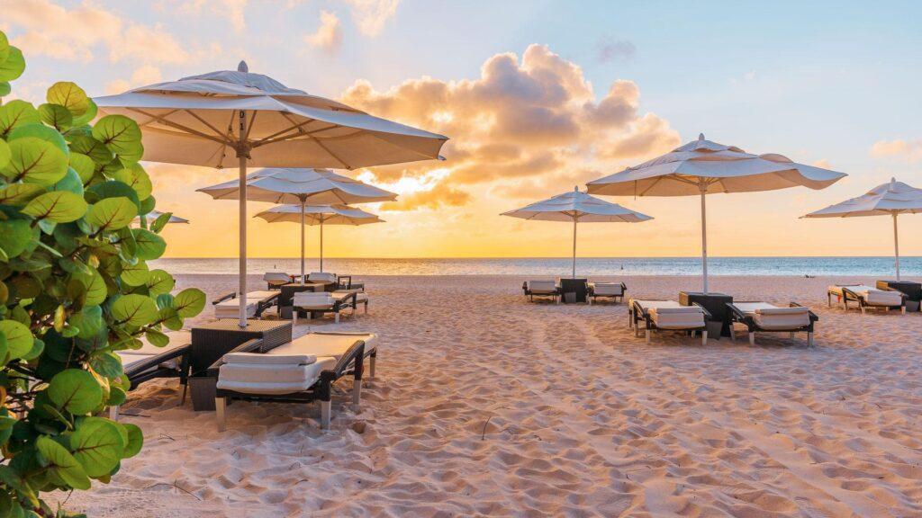Strandszene bei Sonnenuntergang mit leeren Liegestühlen und Sonnenschirmen auf Sand, dem Meer im Hintergrund und einer Grünpflanze auf der linken Seite.